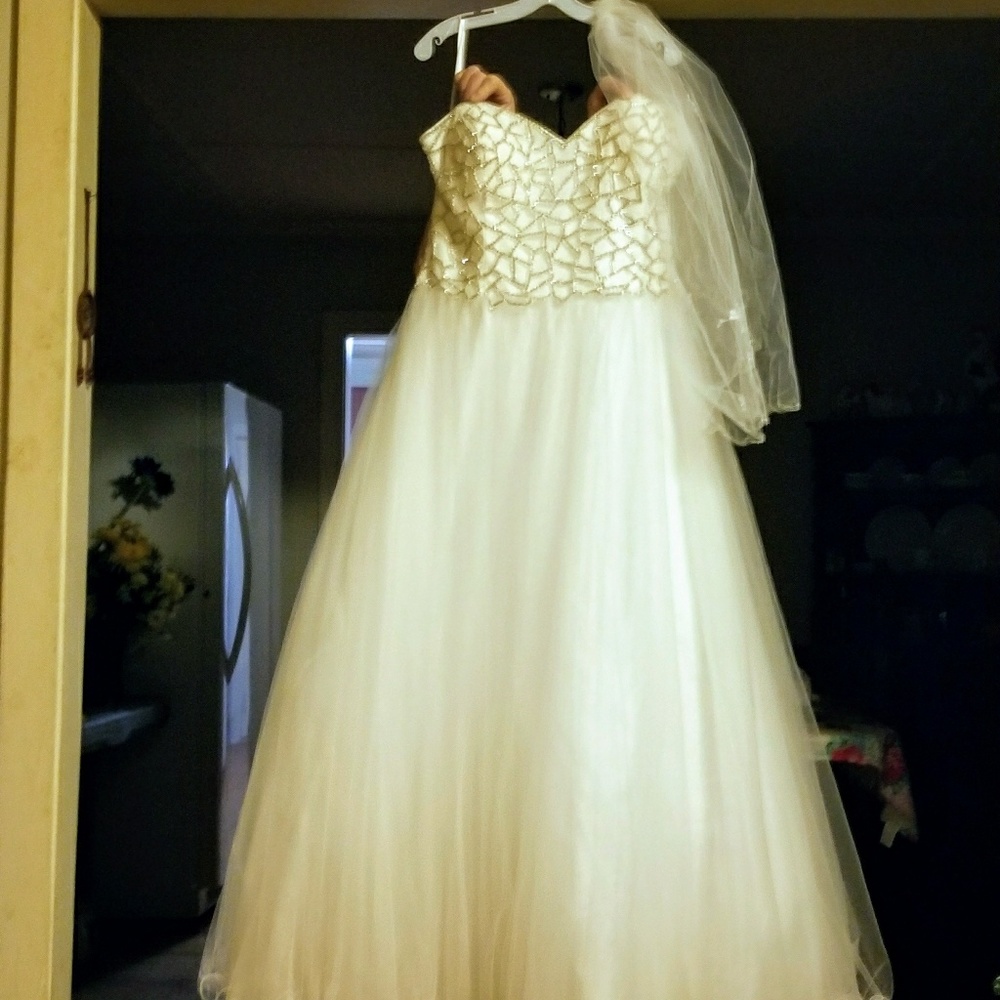 New David's Bridal Wedding Gown wt Tags